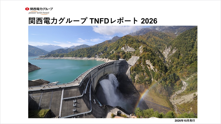 TNFDレポート