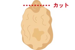 グリーンカーテンの作り方 環境への取組み Csr 環境 関西電力