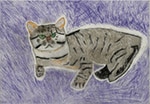 トラ猫、ゴン