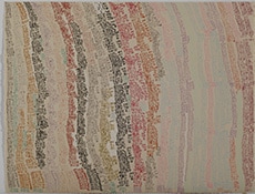 柴田　龍平 50×77cm
