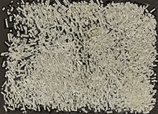 「しんぶんしのしんぶん」 ときかえで