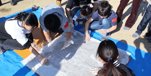 アマモ保全活動の開始