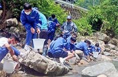 木曽川でのアマゴ放流